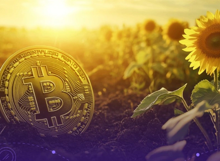 Ukraine Moves Toward Creating a National Bitcoin Reserve