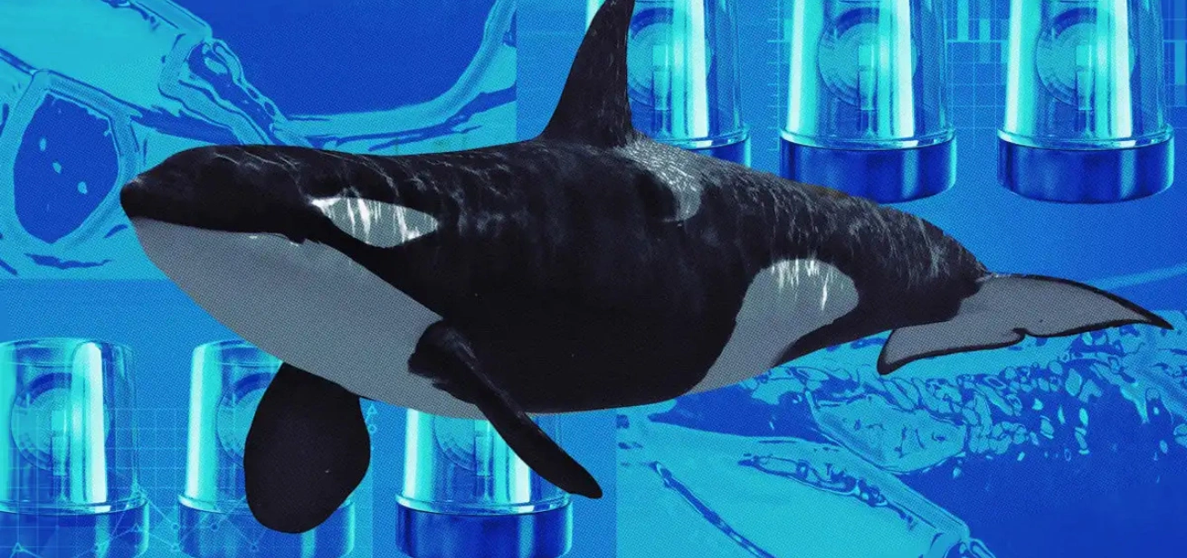 $2B Bitcoin whale transfer, Stirs Market as US Starts Crypto Week