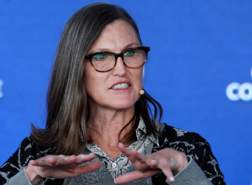 From Fall to Rise: Cathie Wood, the Woman Who Trades the Future