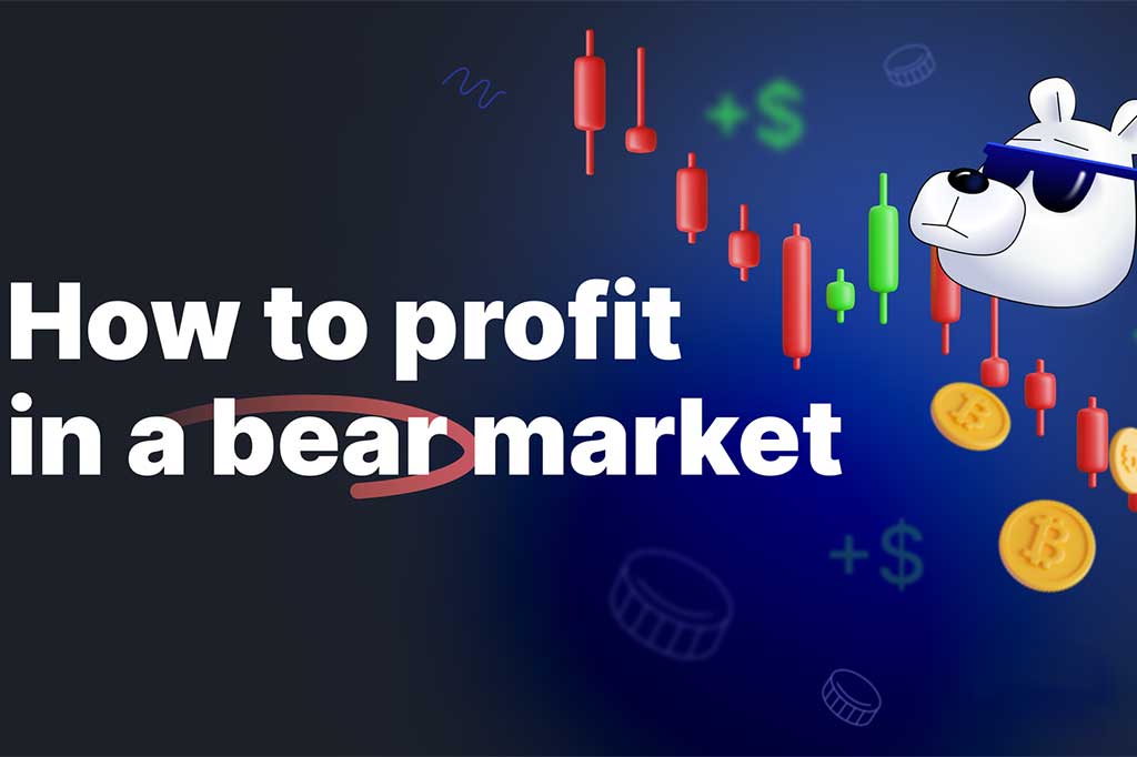 Strategies to Profit in a Bear Market
