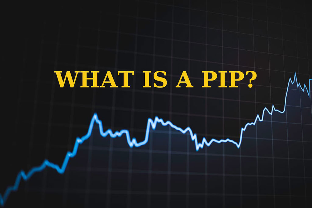 Why Pips Are Important in Forex Trading