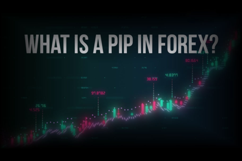 What Does Pip Stand For in Forex?